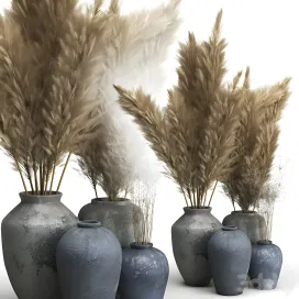 Decorative of clay vases pampas grass